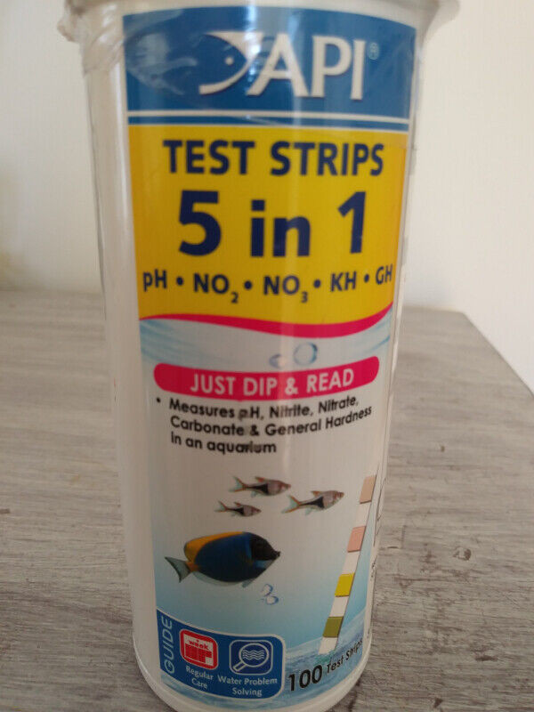 Aquarium 100 Test Strips in Fish for Rehoming in Dartmouth