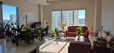 ## Bright 1-Bedroom Sublease – Downtown/River Valley Area | Edmonton **Location: The Oliver – 12220...
