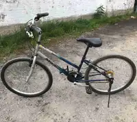 Comfortable City Bicycle for sale Ottawa Downtown