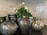 Beautiful mini Rose plants in lovely pots