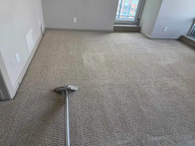 Truckmount Steam Carpet Cleaning Service