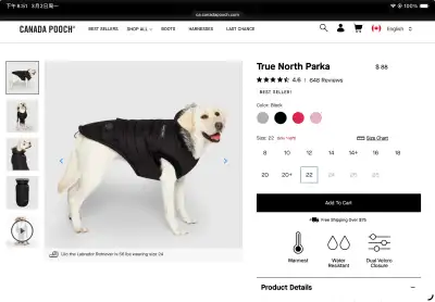 all new Canada Pooch True North Parka - Size 22, View more