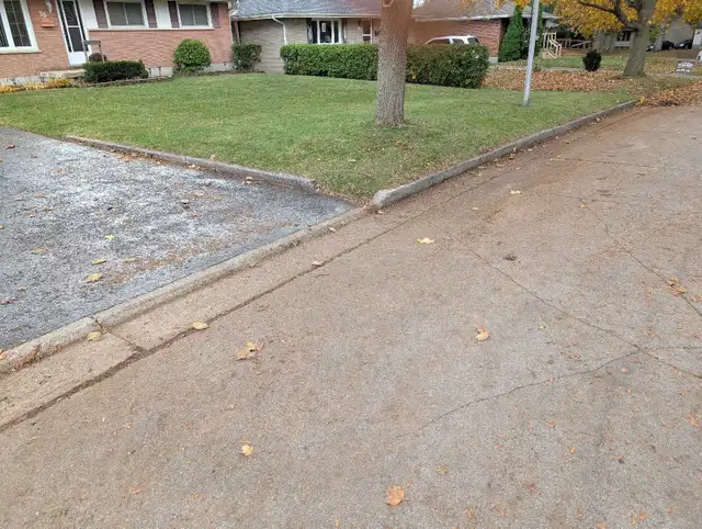 Leaf racking/leaf removal64313483955971120