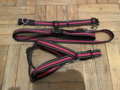 Medium “Jump” Dog Collar, Harness & Leash Set, View more