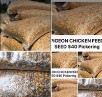 CHICKEN FEED SEED LAYER MASH $40 Pickering 