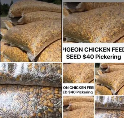 CHICKEN FEED SEED LAYER MASH $40 Pickering , View more