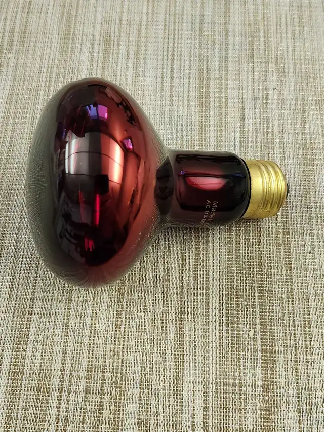 TobeBright infra-red  light bulb64840232480001120