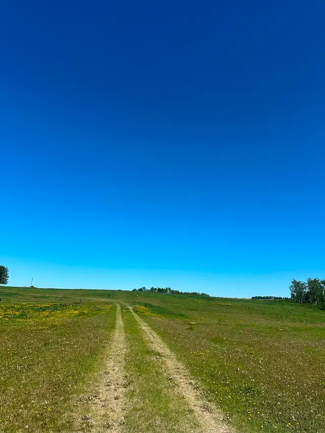 **For Rent: Spacious Shop on 2 Acres – Ideal for RV Storage!** in Storage & Parking for Rent in Red Deer - Image 8