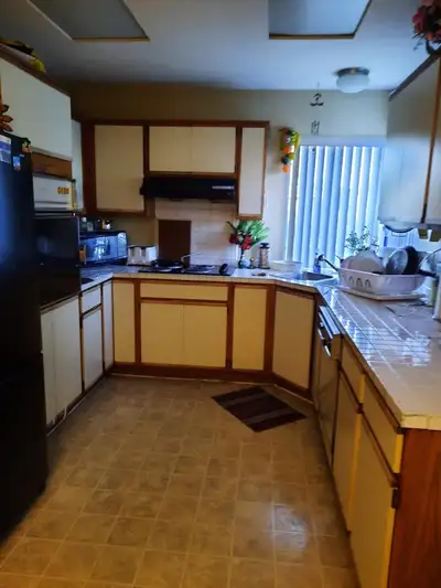 Cozy 3 Bed & 2 bath house for rent in Surrey. Near local bus stops and shopping centers. Looking for...