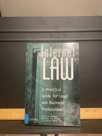 internet law a practical guide. 1998