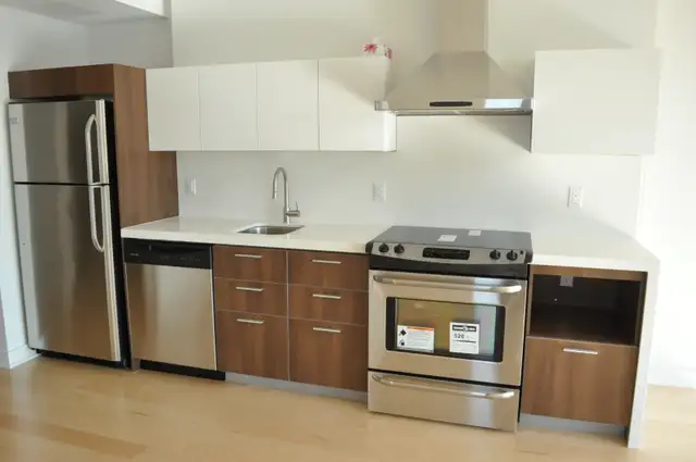 Downtown Luxury Condo for Rent for June 1st!