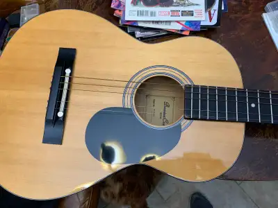 Beavercreek acoustic guitar with case, View more