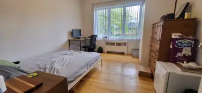 Dernière disponibilité voisine Cégep Garneau pour étudiant(e) non fumeur(euse), libre maintenant ou...