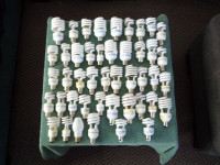 FLUORESCENT LIGHT BULBS