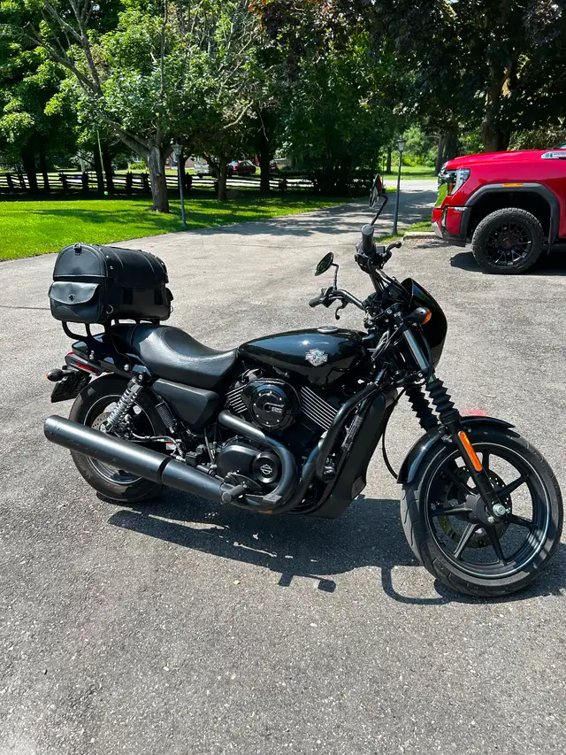 2015 Harley Davidson Street in Street, Cruisers & Choppers in Oshawa / Durham Region - Image 7