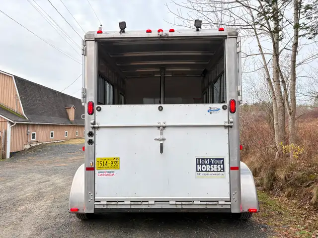 Horse Trailering in Horses & Ponies for Rehoming in Bedford - Image 5