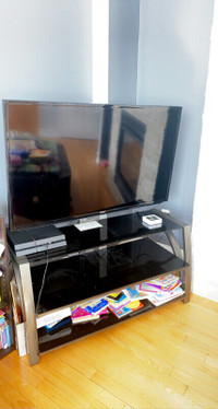 Samsung 50” TV with media stand