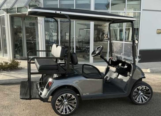 Lithium Golf Cart  in Other in Calgary - Image 3
