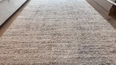 ✨ Modern Shaggy Area Rug – Excellent Condition ✨, View more