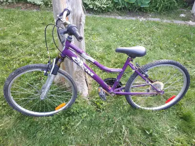 Unisex CCM 15 speed Bike; 24" wheels; Fair Condition - $10, View more