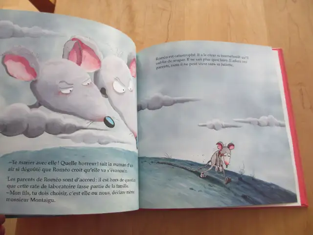 Livre pour enfants; Juliette la rate romantique (b224) in Children & Young Adult in City of Montréal - Image 5