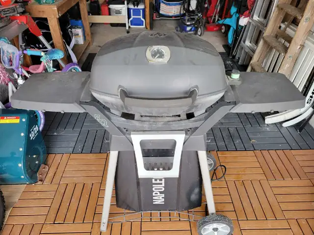 Electric Napoleon Barbecue - for condos, appartment balconies!