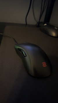 Benq Zowie ec2 gaming mouse 