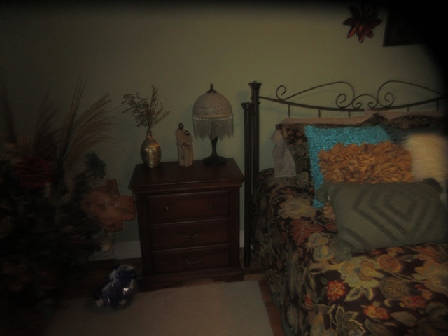 7067 Rue d'Abancourt — photo 3