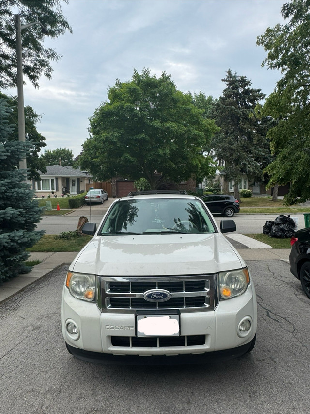 2010 FORD ESCAPE in Cars & Trucks in Mississauga / Peel Region
