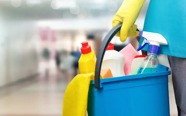 Cleaning (professional/affordable) WIN- call/text @ 204-808-1346 in Cleaners & Cleaning in Winnipeg - Image 7