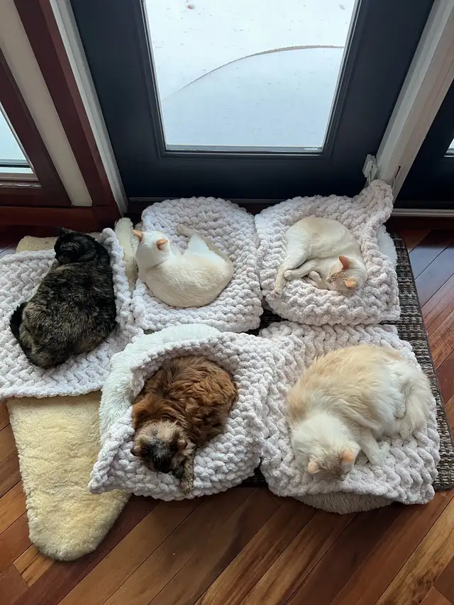 Handmade Mats for Cats 