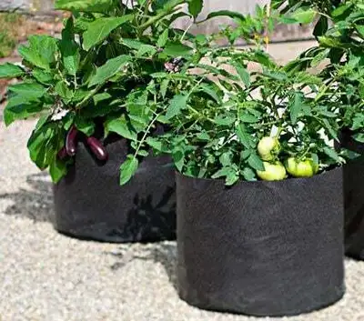 4 Grands Sacs de culture jardinage NEUF (Smart Pot) 10 Gallons, View more