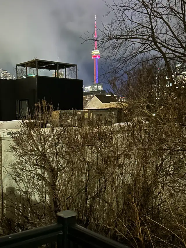 Downtown center master bathroom for rent  in Long Term Rentals in City of Toronto - Image 11