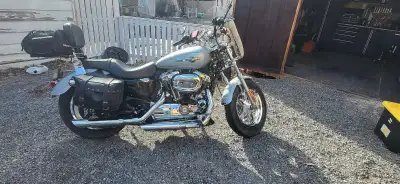 Mint very clean Sportster 1200. 11049km . Chrome very well taken care of. Comes with many extras inc...