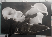 Frameless black and white print of calla lillies