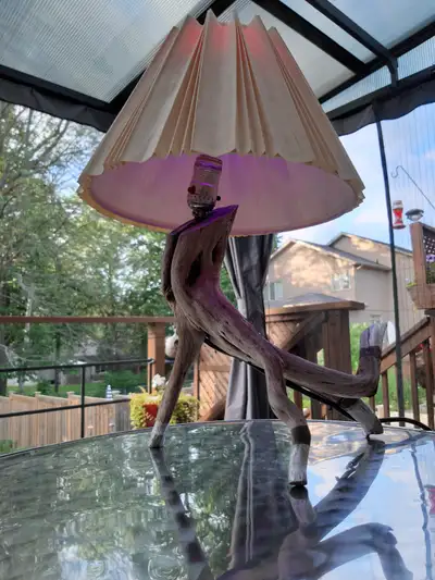 Decorative LED /natural root/ lamp & remote 20 colors control., View more