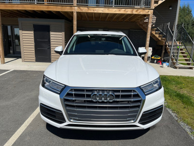 2019 Audi Q5 (extended full warranty until 2027 August)