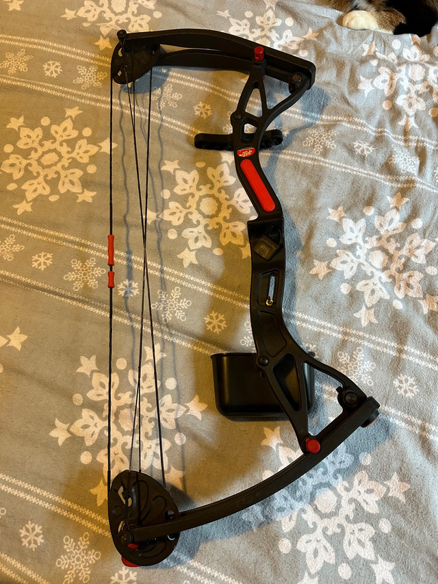 Compound bow in Fishing, Camping & Outdoors in Bedford