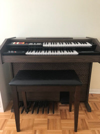 Organ - Galanti x300 De Luxe  - $330