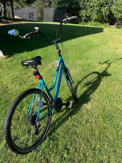Customized Funky Tall Bicycle!444703234023772165