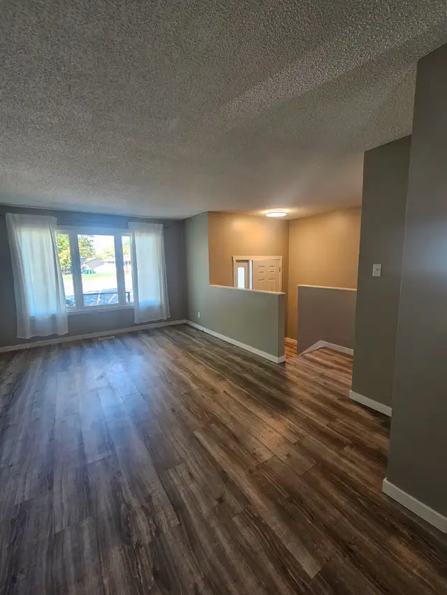 Freshly painted 3 bedroom available now
