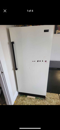 Kenmore stand up freezer 