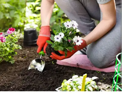 OUTDOOR YARDWORK HELP AVILIBLE CALL 647 858 3862, View more