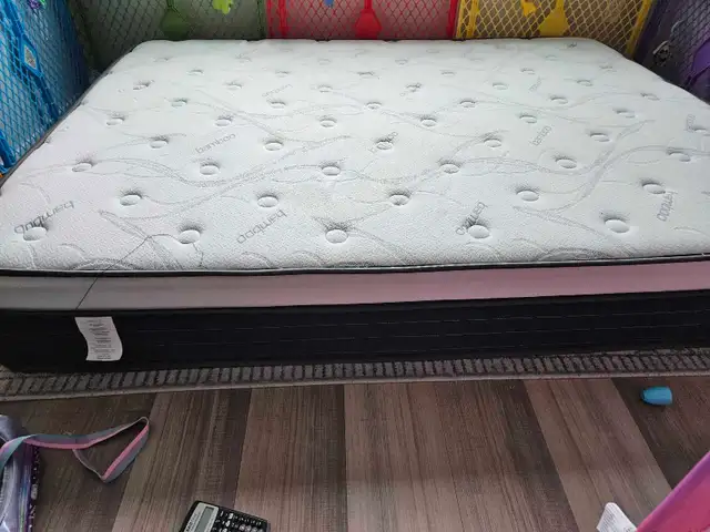 Matresses in Beds & Mattresses in Delta/Surrey/Langley - Image 3