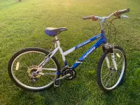 Infinity mountain bike, 26” wheels
