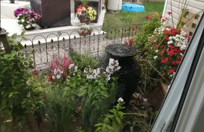 Decorative Garden Fencing, View more