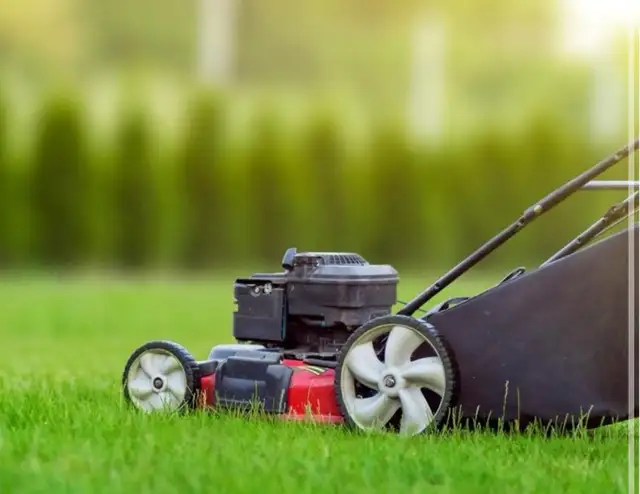 Grass cutting($40)490886877455984640