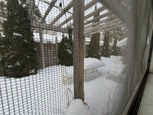 Room for Rent – $800/month | Friendly, Respectful Home in Short Term Rentals in Peterborough - Image 18