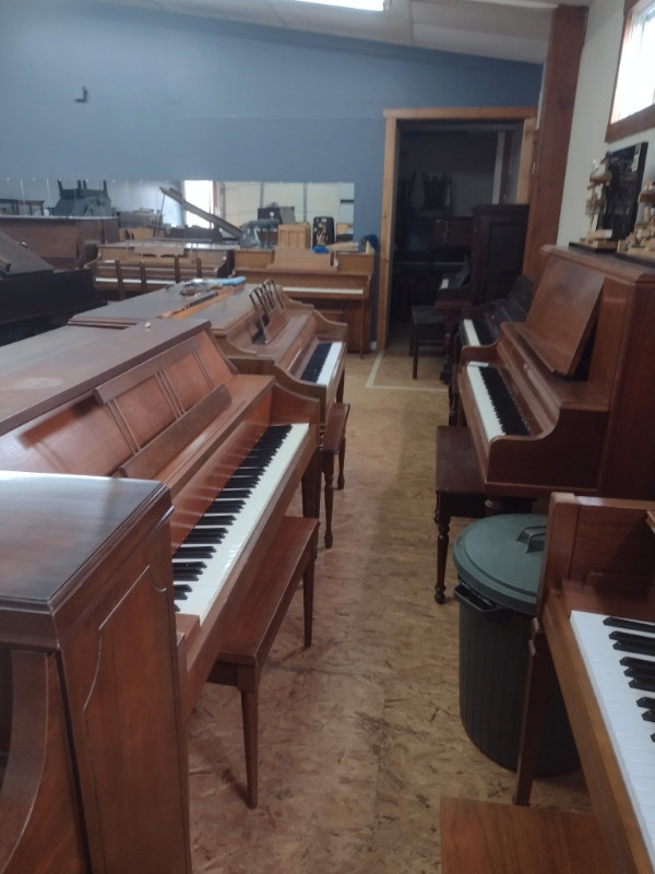 We have too many pianos !!! in Pianos & Keyboards in St. Catharines - Image 2