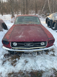 1965 1966 1967 1968 1969 ford mustang fastback wanted